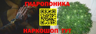 кокс Шелехов