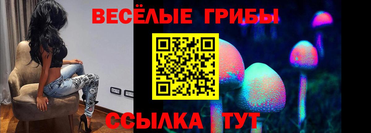 цена   Галлюциногенные грибы прущие грибы  Псилоцибиновые грибы Psilocybe  Вход с VPN  Ленинск-Кузнецкий 